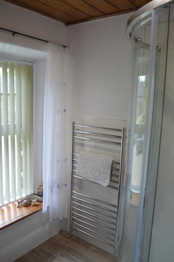 Troedyrhiw Bed & Breakfast คาร์ดิแกน ภายนอก รูปภาพ