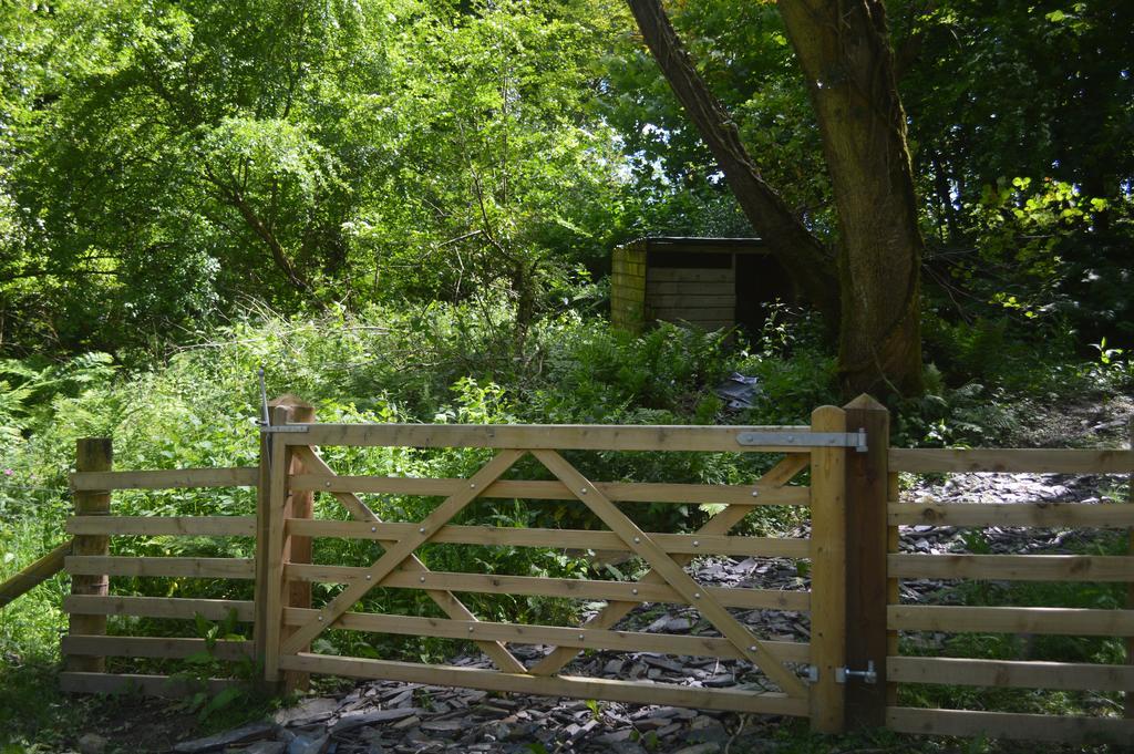 Troedyrhiw Bed & Breakfast คาร์ดิแกน ภายนอก รูปภาพ